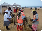 Calangute beach goa1