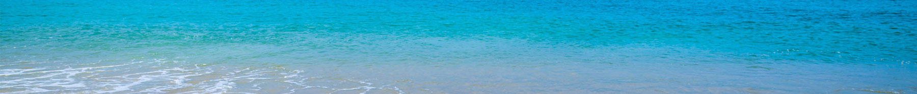 Inner Banner of Consumer Affairs